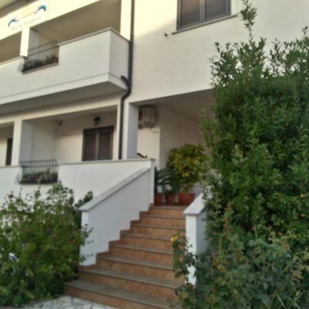 سكاليا Zama Bed&Breakfast المظهر الخارجي الصورة