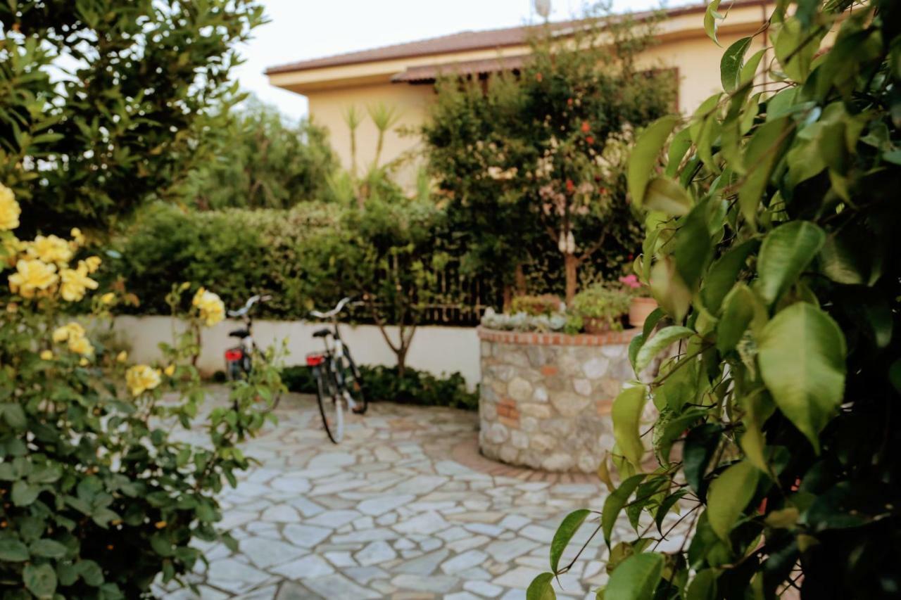 سكاليا Zama Bed&Breakfast المظهر الخارجي الصورة