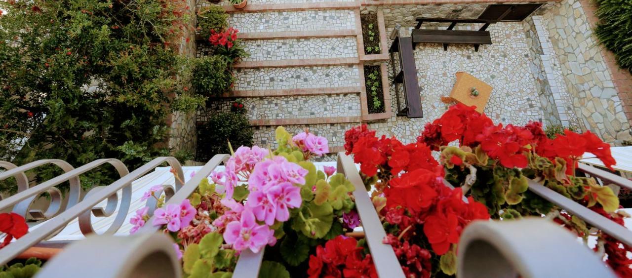 سكاليا Zama Bed&Breakfast المظهر الخارجي الصورة